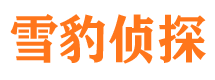 九龙坡捉小三公司